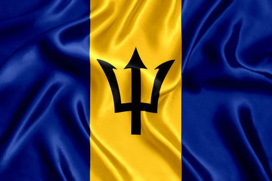 Barbados National Flag Wall Art - beink online art store
