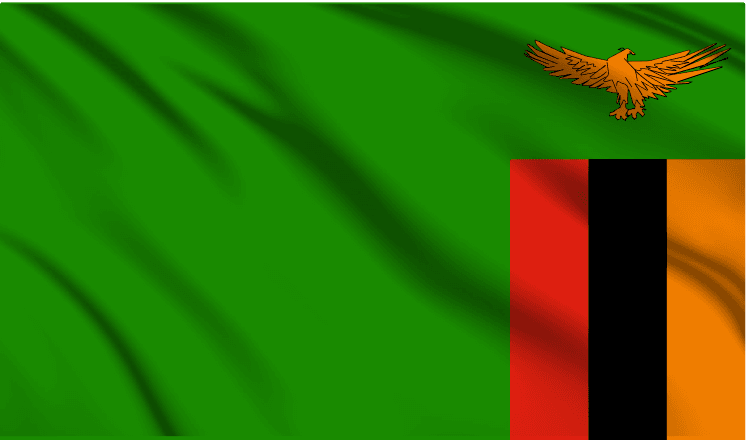 Zambia National Flag Wall Art - beink online art store