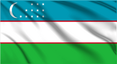 Uzbekistan National Flag Wall Art - beink online art store