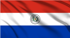 Paraguay National Flag Wall Art - beink online art store