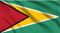 Guyana National Flag Wall Art - beink online art store