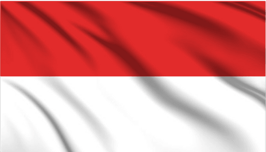 Indonesia National Flag Wall Art - beink online art store