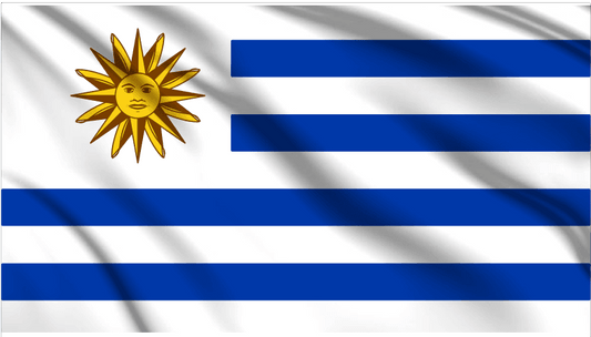 Uruguay National Flag Wall Art - beink online art store