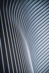 Curved Lines Abstract Wall Art