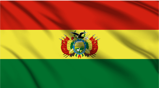Bolivia National Flag Wall Art - beink online art store