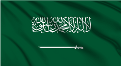 Saudi Arabia National Flag Wall Art - beink online art store
