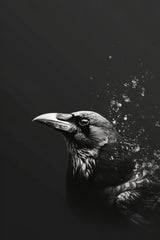 Common Raven Black and White Wall Art