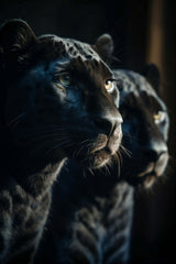 Black Panther Animal Wall Art