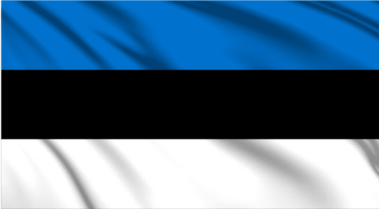 Estonia National Flag Wall Art - beink online art store