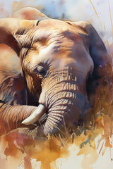 Elephant Animal Wall Art