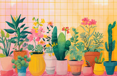 Colorful Abstract of Potted Plants