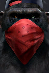 Gorilla Face Mask Wall Art