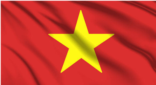 Vietnam National Flag Wall Art - beink online art store