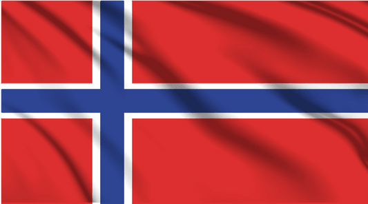 Norway National Flag Wall Art - beink online art store