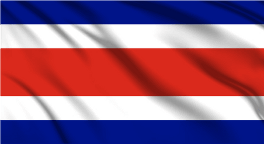 Costa Rica National Flag Wall Art - beink online art store
