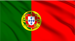 Portugal National Flag Wall Art - beink online art store