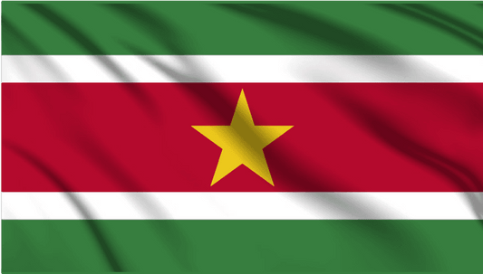 Suriname National Flag Wall Art - beink online art store