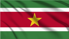Suriname National Flag Wall Art - beink online art store