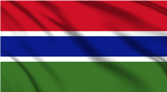 The Gambia National Flag Wall Art - beink online art store