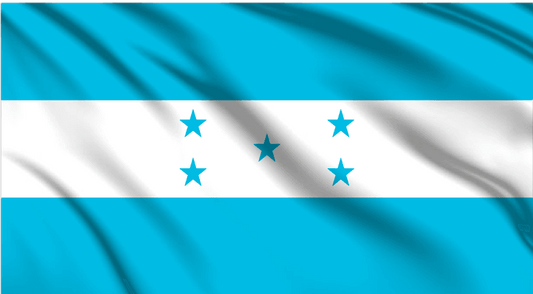 Honduras National Flag Wall Art - beink online art store