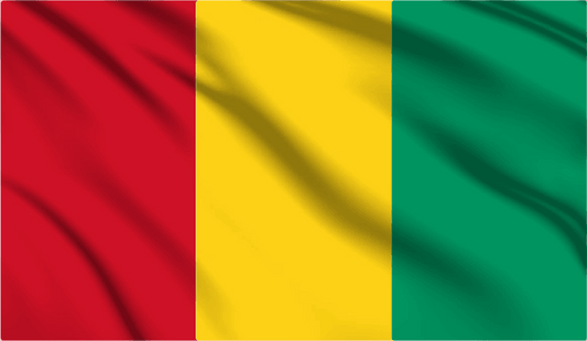 Guinea National Flag Wall Art - beink online art store