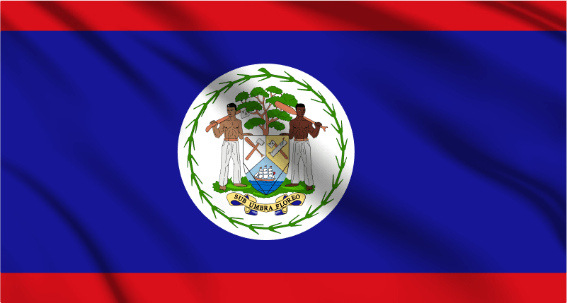 Belize National Flag Wall Art - beink online art store