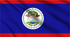 Belize National Flag Wall Art - beink online art store