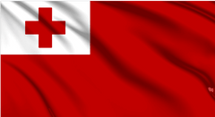 Tonga National Flag Wall Art - beink online art store