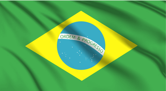 Brazil National Flag Wall Art - beink online art store
