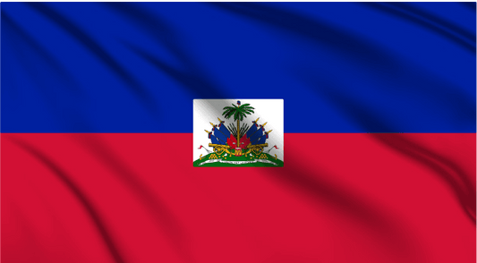 Haiti National Flag Wall Art - beink online art store