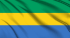 Gabon National Flag Wall Art - beink online art store