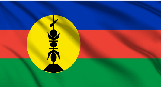 New Caledonia National Flag Wall Art - beink online art store