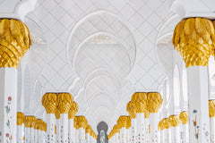 A Symphony of Gold & White Wall Art