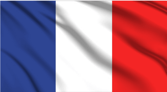 France National Flag Wall Art - beink online art store