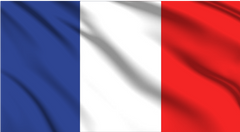 France National Flag Wall Art