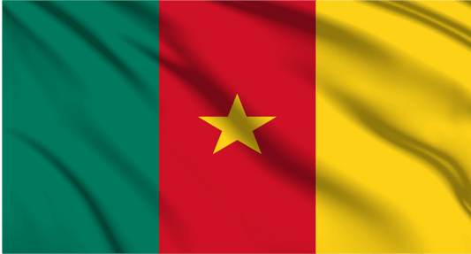 Cameroon National Flag Wall Art - beink online art store