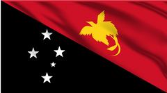 Papua New Guinea National Flag Wall Art