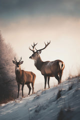 Pair of Red Deer Standing in Snow Wall Art