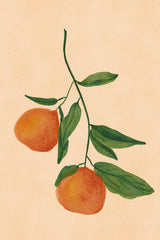 Fruit Tree Branch With Oranges Wall Art