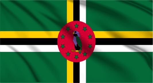 Dominica National Flag Wall Art - beink online art store