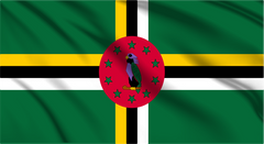 Dominica National Flag Wall Art