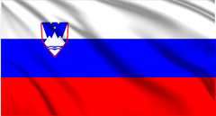 Slovenia National Flag Wall Art