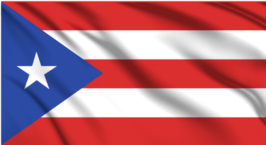 Puerto Rico National Flag Wall Art - beink online art store