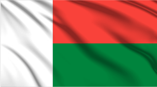 Madagascar National Flag Wall Art - beink online art store
