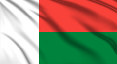 Madagascar National Flag Wall Art