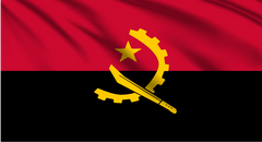 Angola National Flag Wall Art