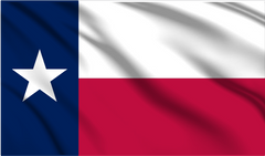 state of Texas Flag Wall Art