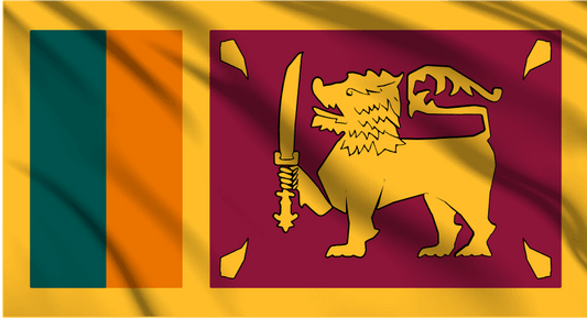 Sri Lanka National Flag Wall Art - beink online art store