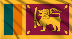 Sri Lanka National Flag Wall Art