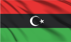 Libya National Flag Wall Art